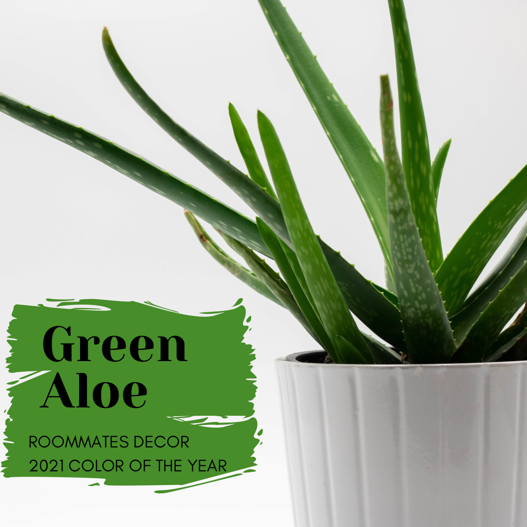 Color of the Year and Biophilic Palette Choices