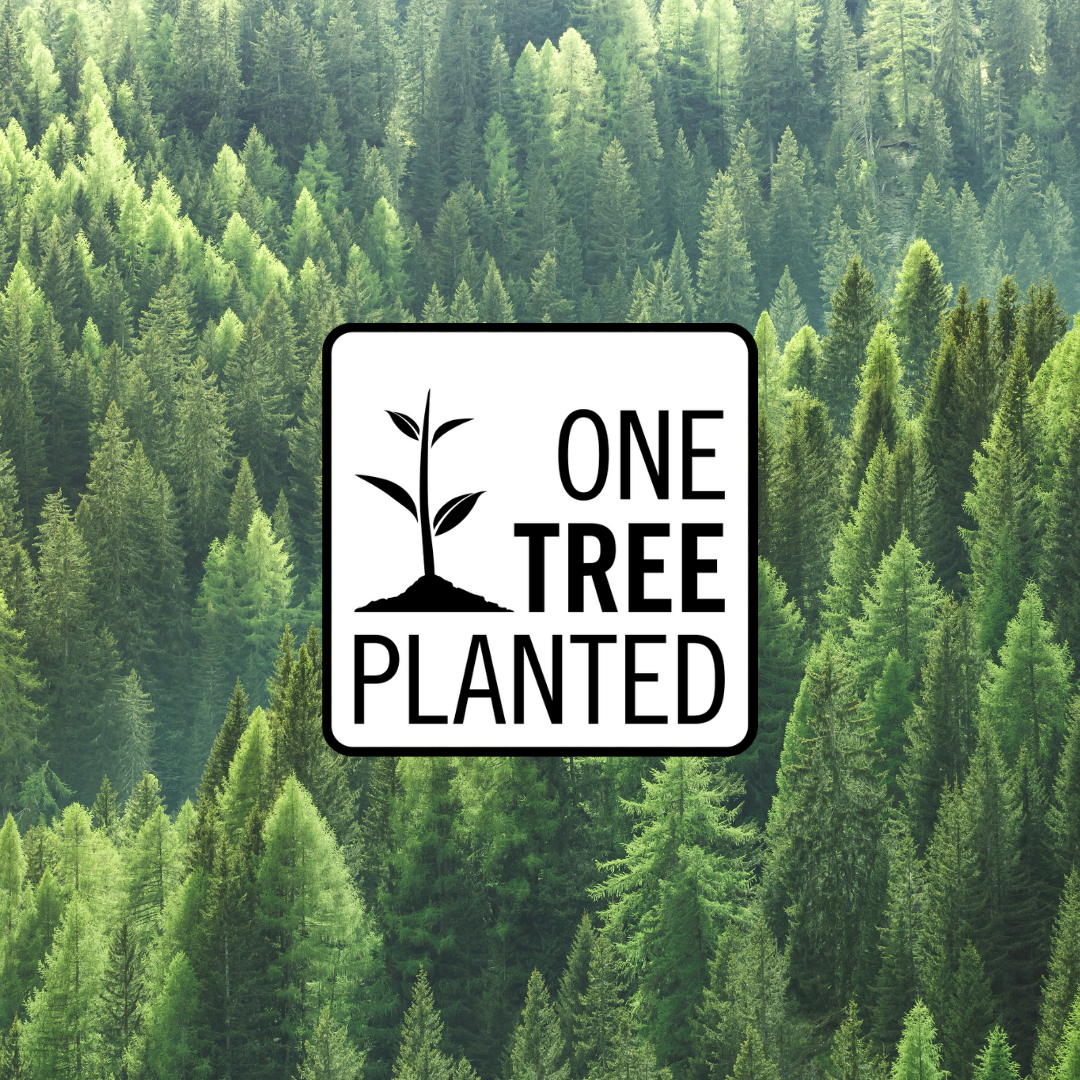 Environmentally Friendly Company Initiatives