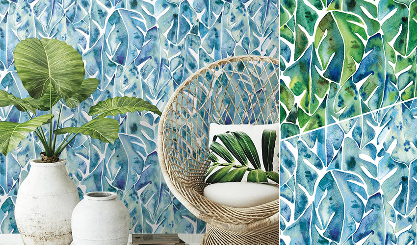 Beyond the Designs with CatCoq