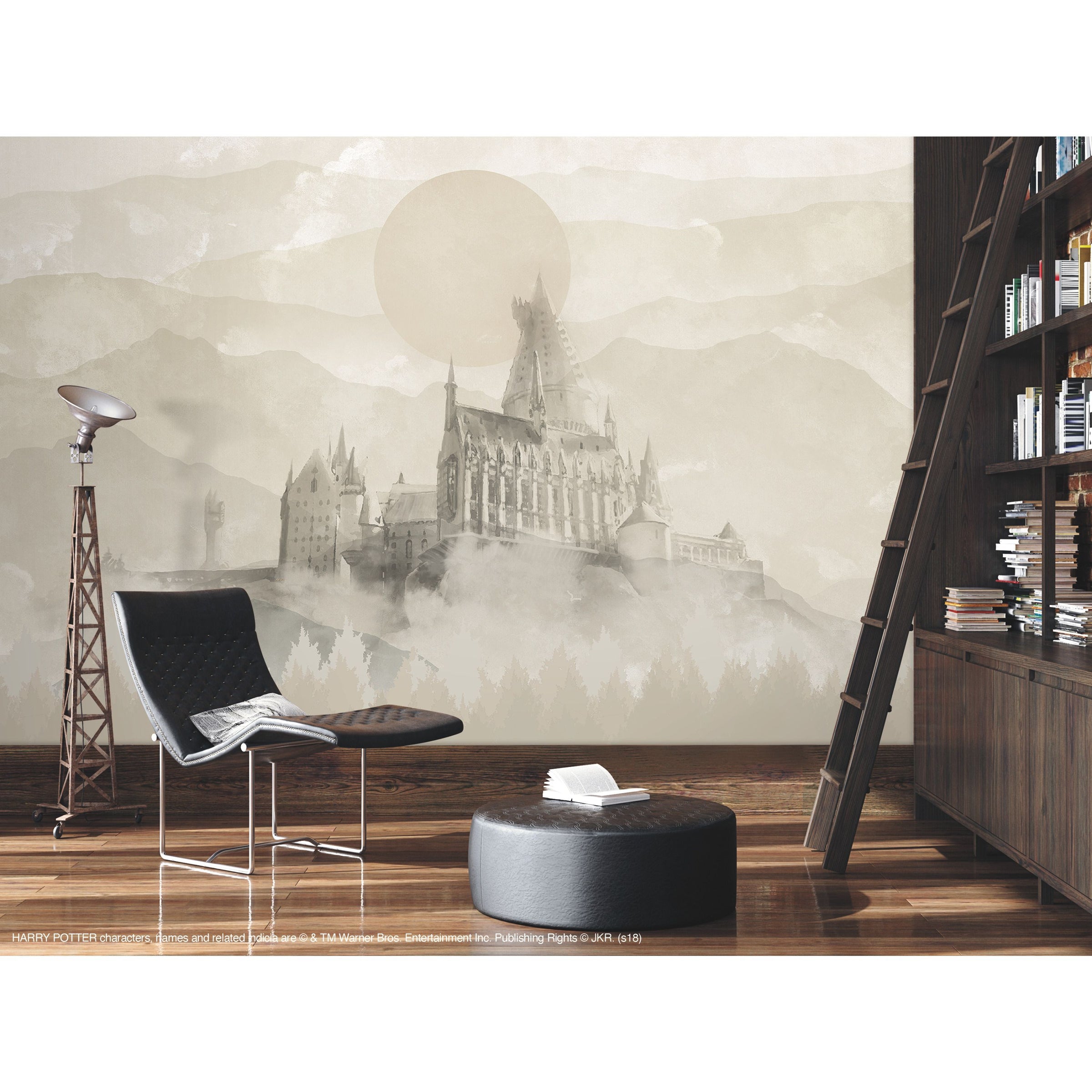 Warner Bros. Murals