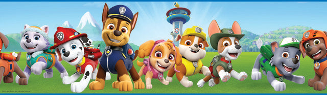 Paw Patrol Peel & Stick Wallpaper Border Peel and Stick Borders RoomMates   