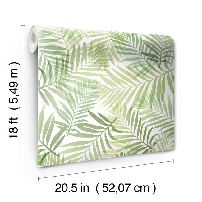 Tropical Vibe Peel & Stick Wallpaper Peel and Stick Wallpaper RoomMates   
