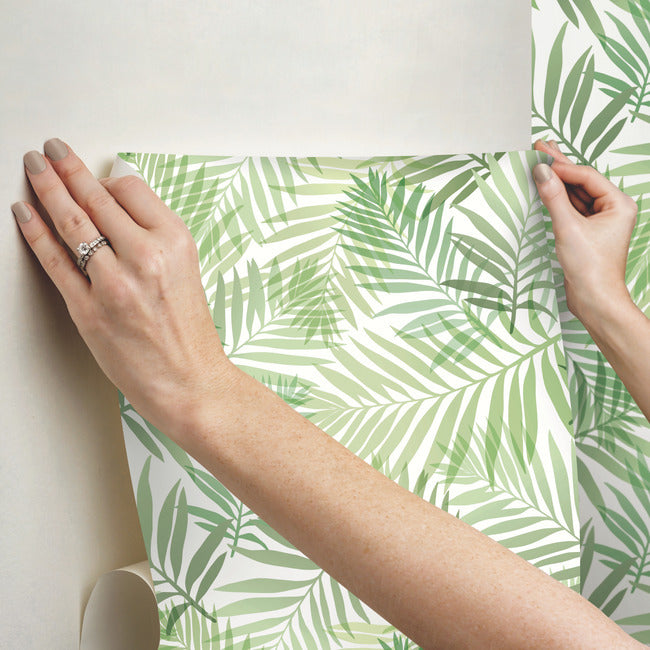 Tropical Vibe Peel & Stick Wallpaper Peel and Stick Wallpaper RoomMates   