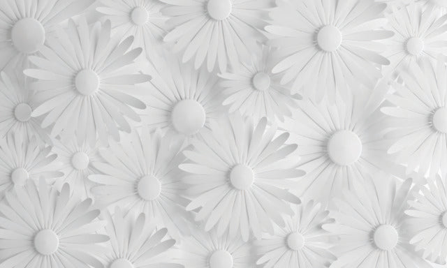 Mr. Kate  Modern Daisy Peel & Stick Wallpaper Mural Wall Murals RoomMates   