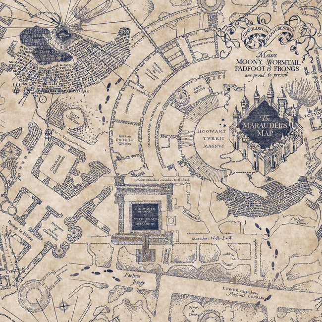 Harry Potter Marauder's Map Peel & Stick Wallpaper Peel and Stick Wallpaper RoomMates Roll Blue 
