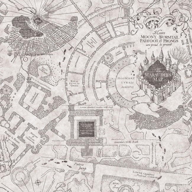 Harry Potter Marauder's Map Peel & Stick Wallpaper Peel and Stick Wallpaper RoomMates Roll Grey 