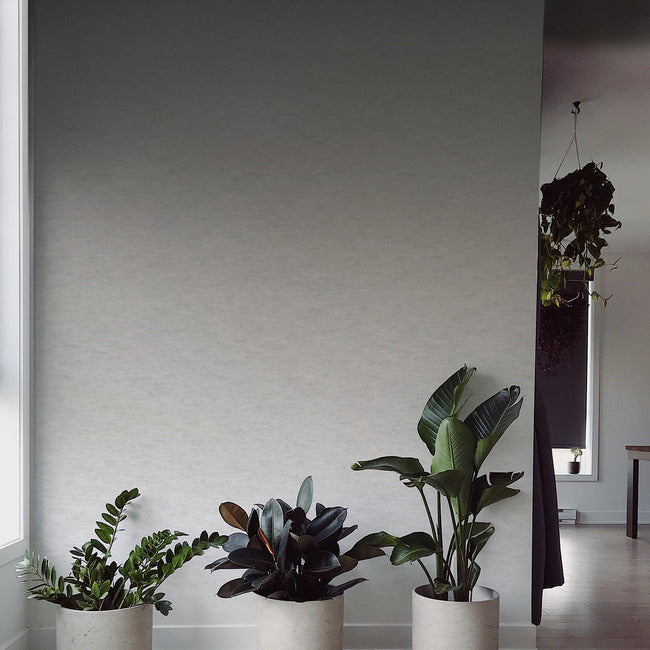 Aura Ombre Peel & Stick Wallpaper Mural Peel and Stick Wallpaper RoomMates   