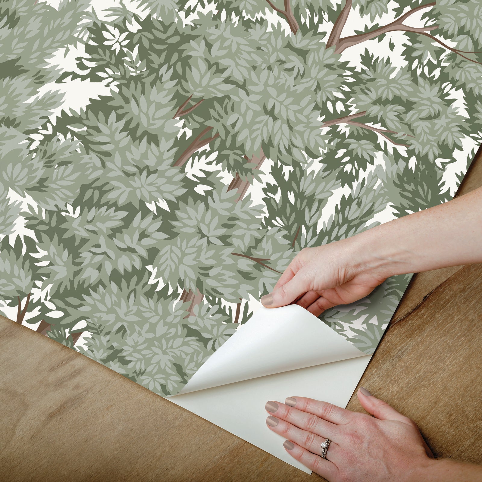 Ardian Peel and Stick Wallpaper Peel and Stick Wallpaper RoomMates   