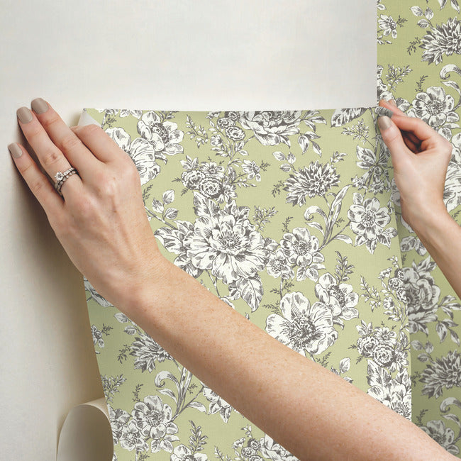 Winifred Peel & Stick Wallpaper Peel and Stick Wallpaper RoomMates   