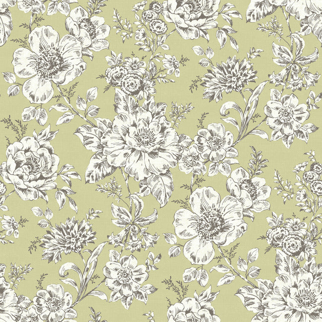 Winifred Peel & Stick Wallpaper Peel and Stick Wallpaper RoomMates Roll Green 