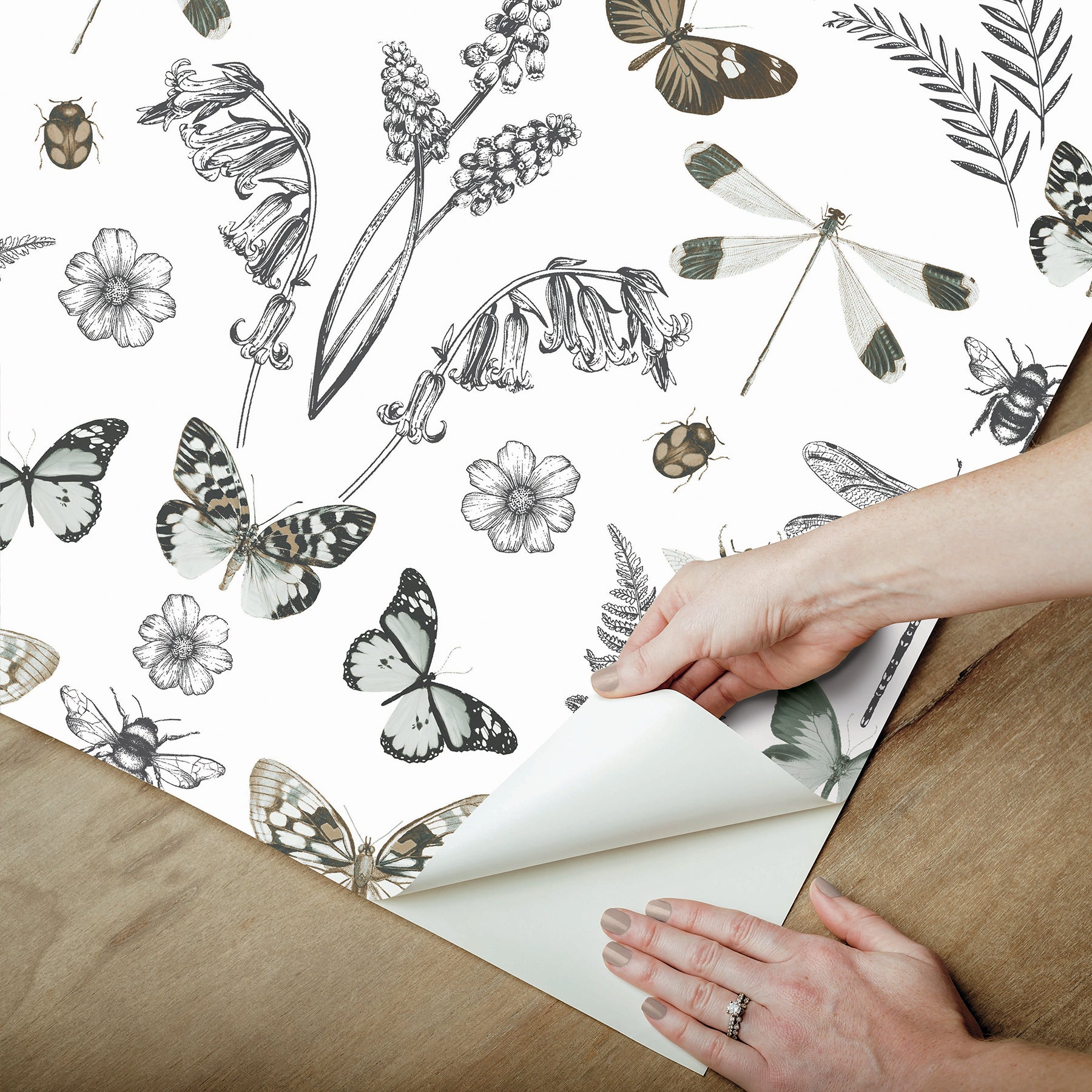 Hidden Treasures Peel and Stick Wallpaper Peel and Stick Wallpaper RoomMates   