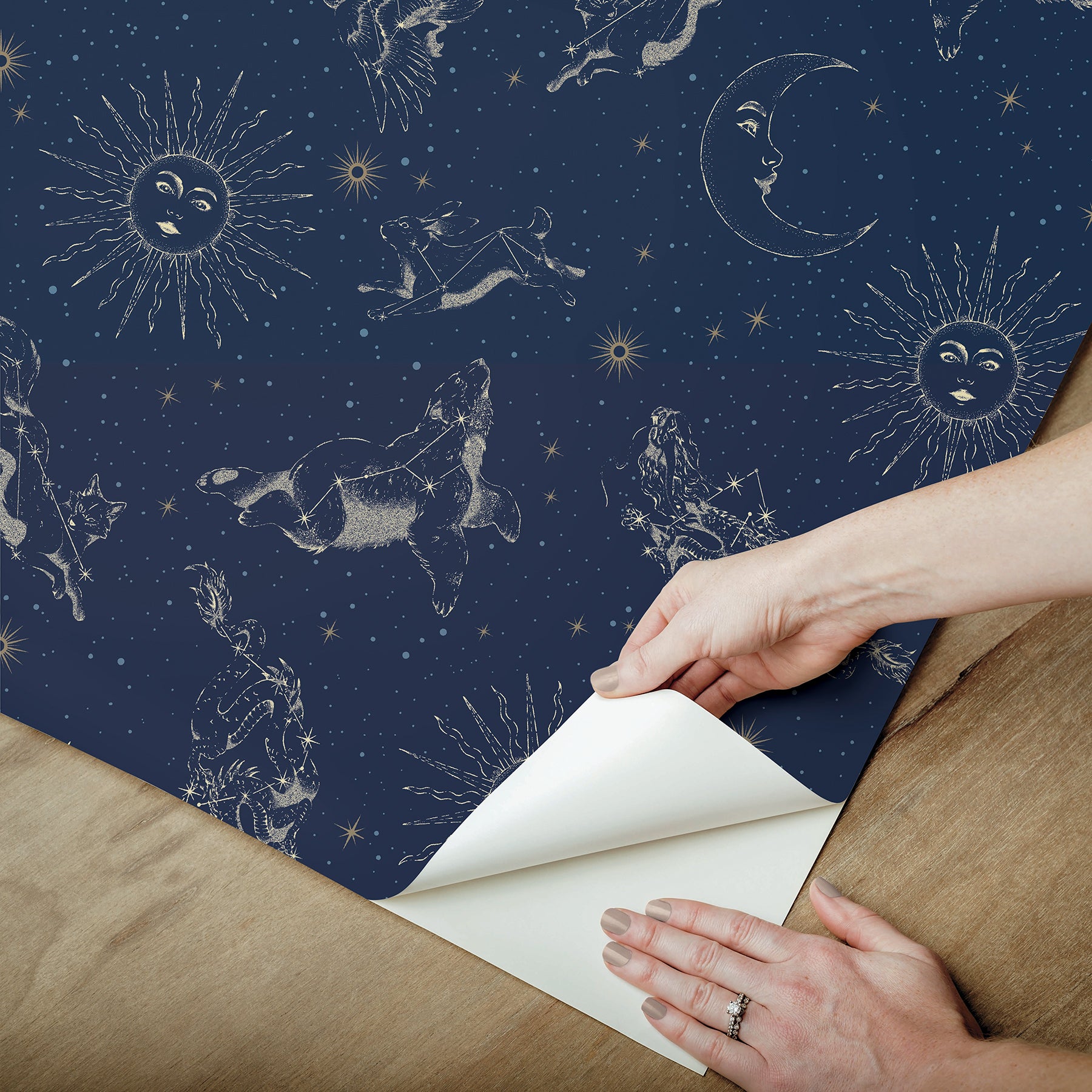 Zodiac Dreams Peel and Stick Wallpaper Peel and Stick Wallpaper RoomMates   