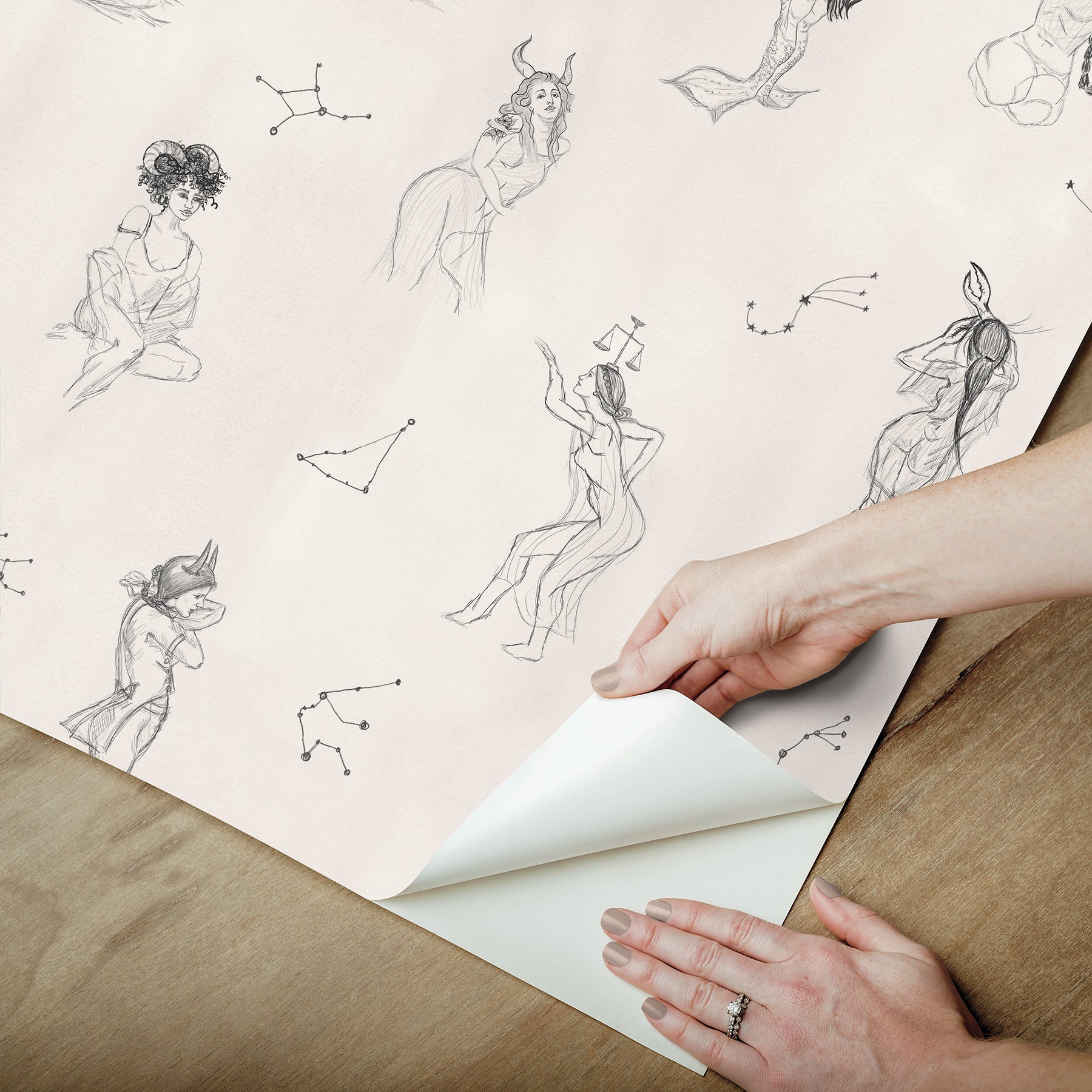 Mr. Kate Luna Zodiac Toile Peel and Stick Wallpaper Peel and Stick Wallpaper RoomMates   