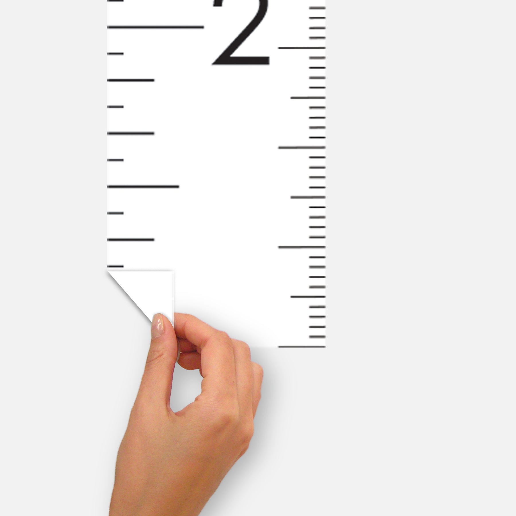 Modern Growth Chart White Wall Decals Wall Decals RoomMates Decor   