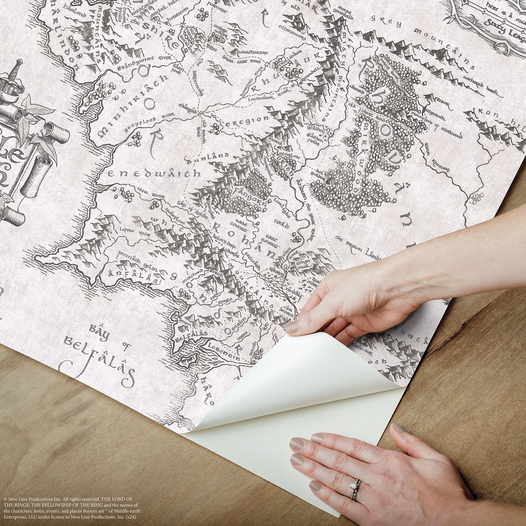 Lord of the Rings Middle Earth Map Peel & Stick Wallpaper Peel and Stick Wallpaper RoomMates   