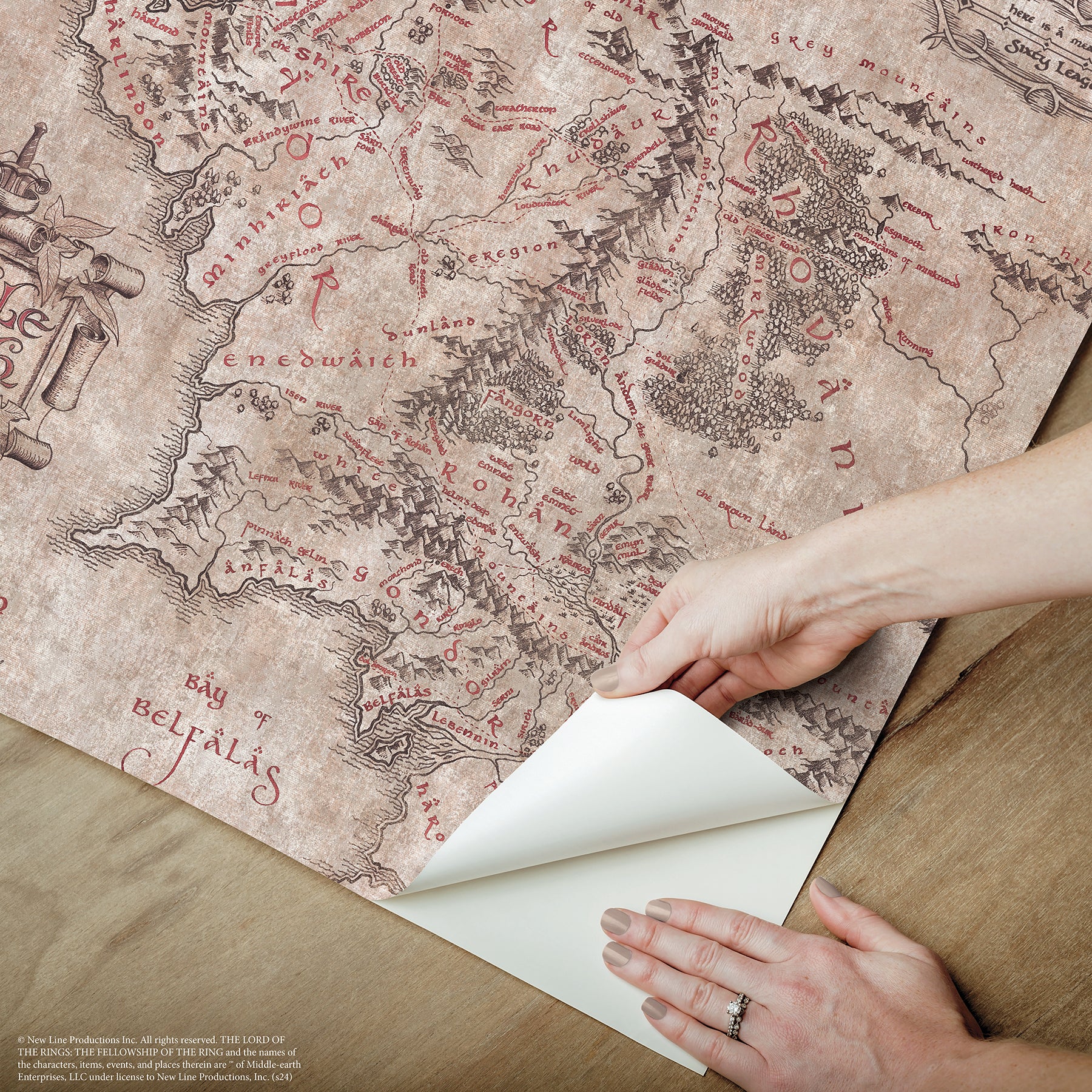 Lord of the Rings Middle Earth Map Peel & Stick Wallpaper Peel and Stick Wallpaper RoomMates   
