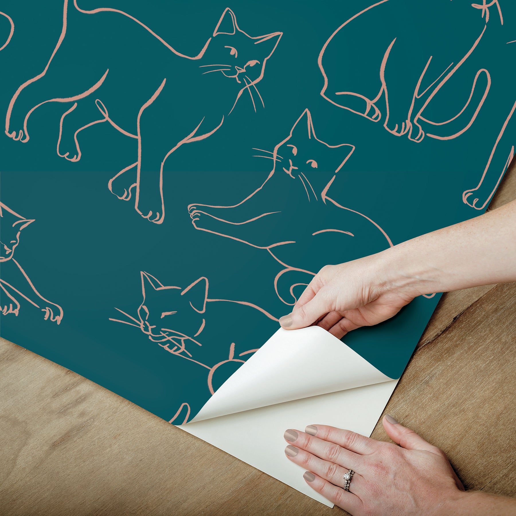 Cat Poses Peel & Stick Wallpaper Peel and Stick Wallpaper RoomMates