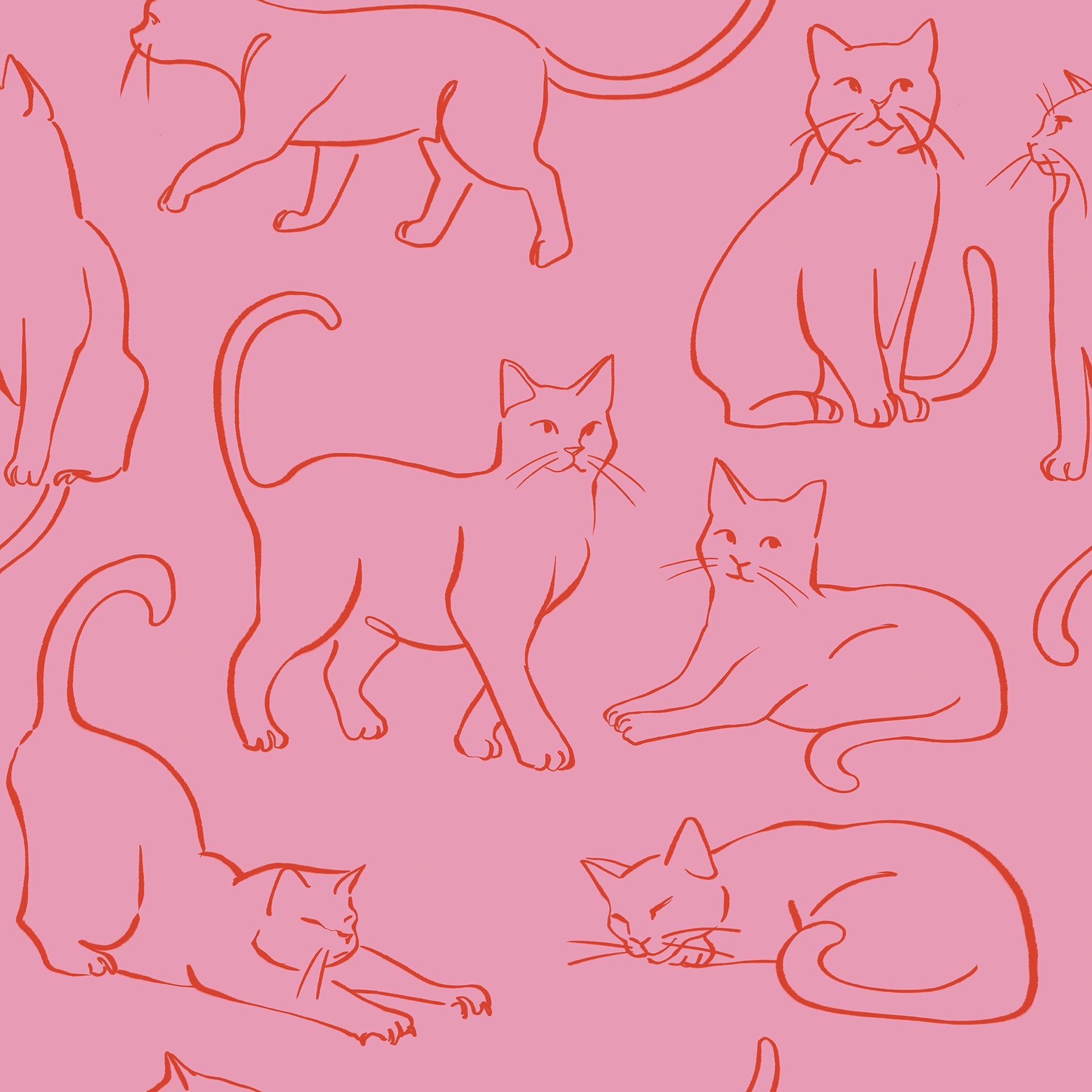 Cat Poses Peel & Stick Wallpaper Peel and Stick Wallpaper RoomMates Roll Pink