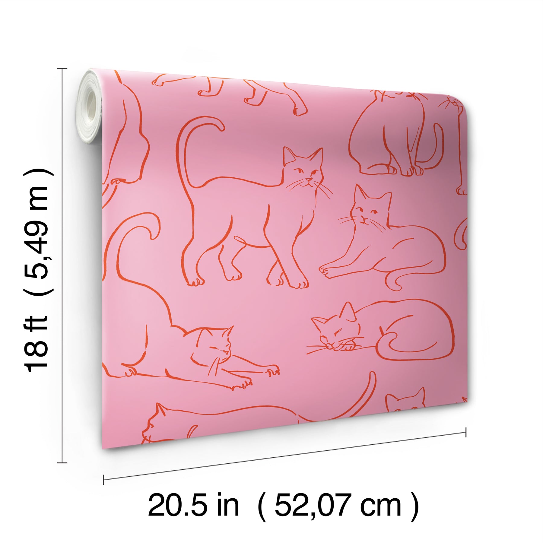 Cat Poses Peel & Stick Wallpaper Peel and Stick Wallpaper RoomMates