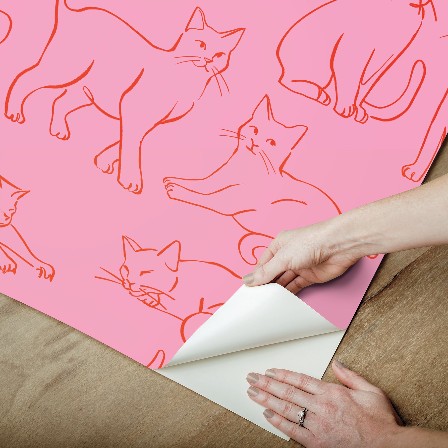 Cat Poses Peel & Stick Wallpaper Peel and Stick Wallpaper RoomMates