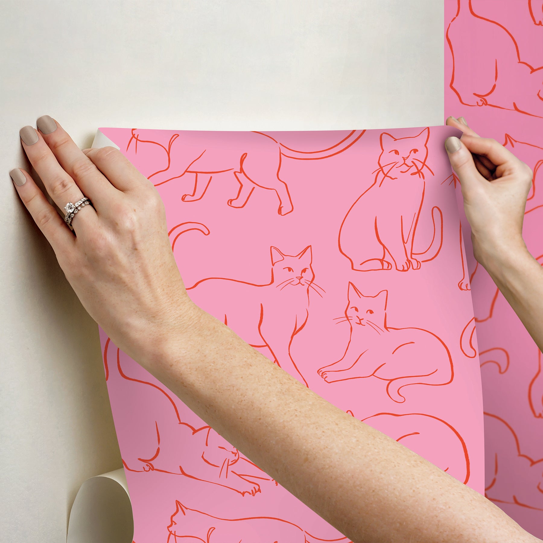 Cat Poses Peel & Stick Wallpaper Peel and Stick Wallpaper RoomMates
