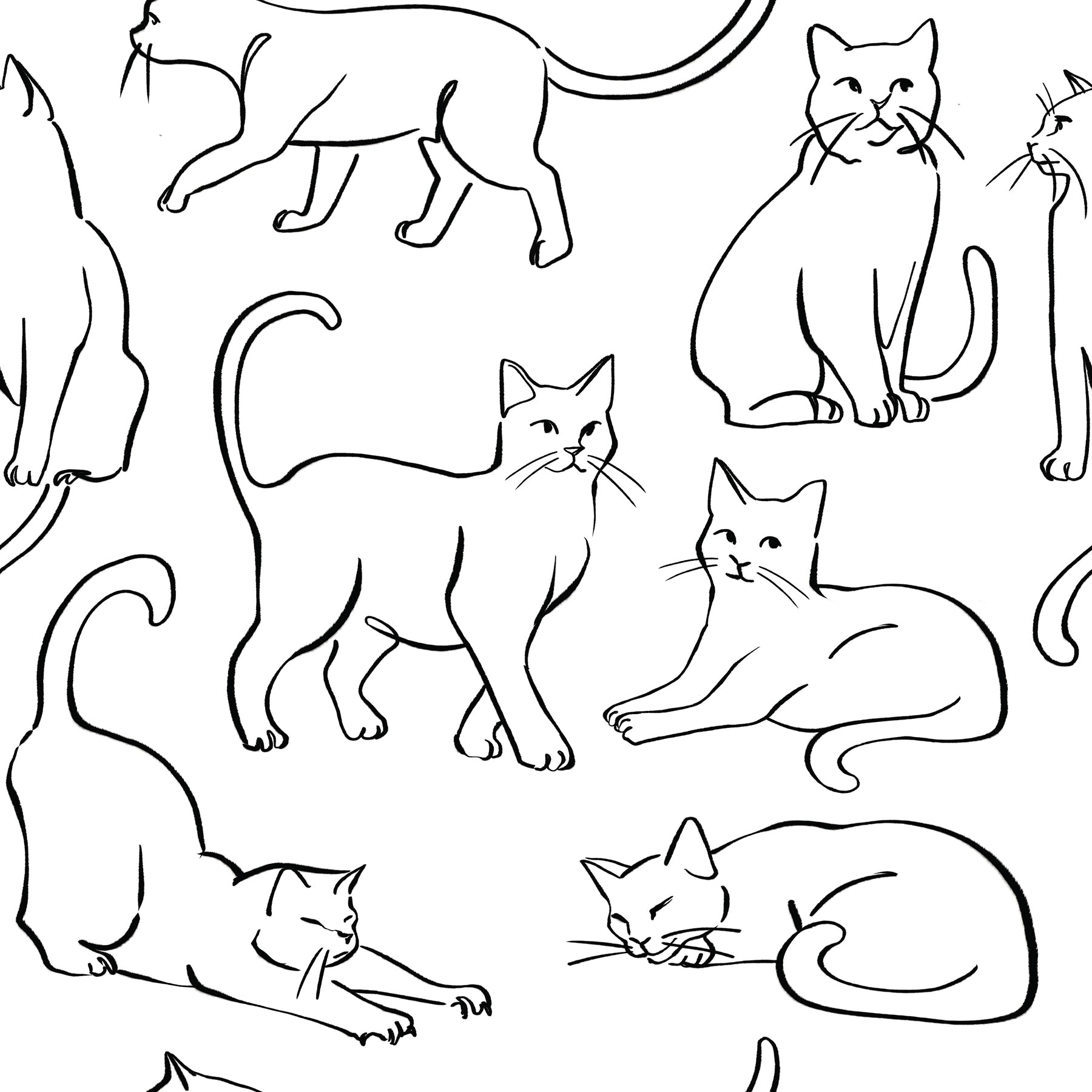 Cat Poses Peel & Stick Wallpaper Peel and Stick Wallpaper RoomMates Roll Black