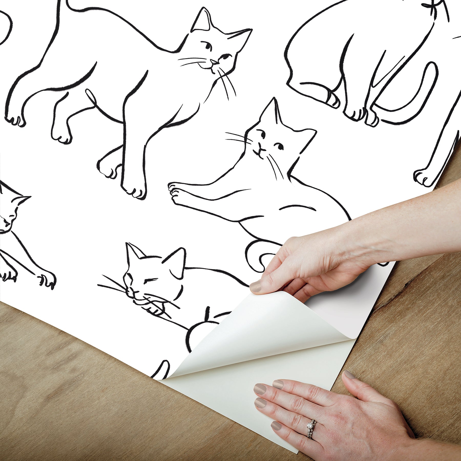 Cat Poses Peel & Stick Wallpaper Peel and Stick Wallpaper RoomMates