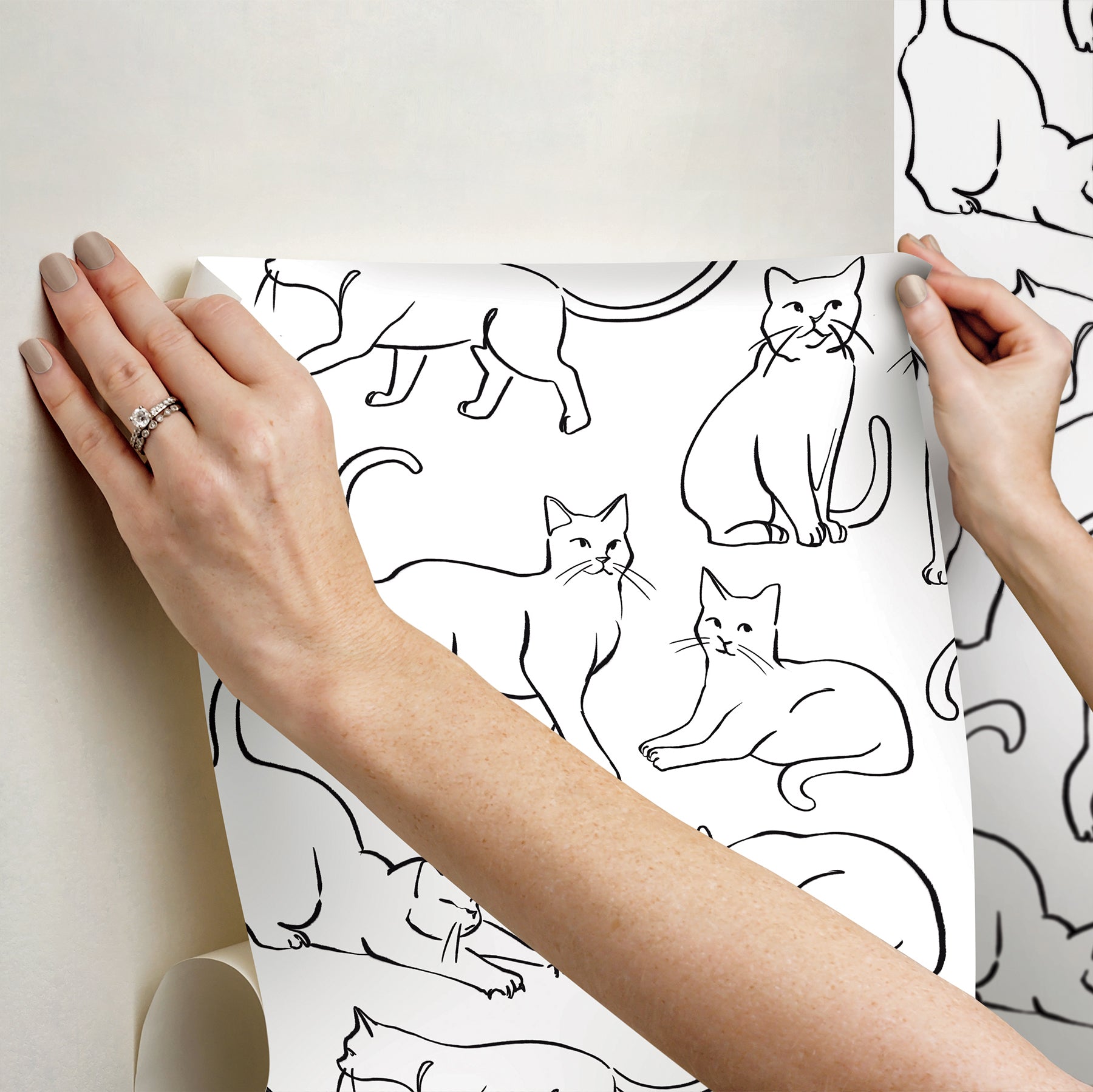Cat Poses Peel & Stick Wallpaper Peel and Stick Wallpaper RoomMates