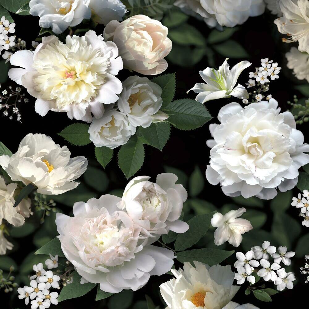 Black Photographic Floral Peel and Stick Mural Wall Murals RoomMates Mural  