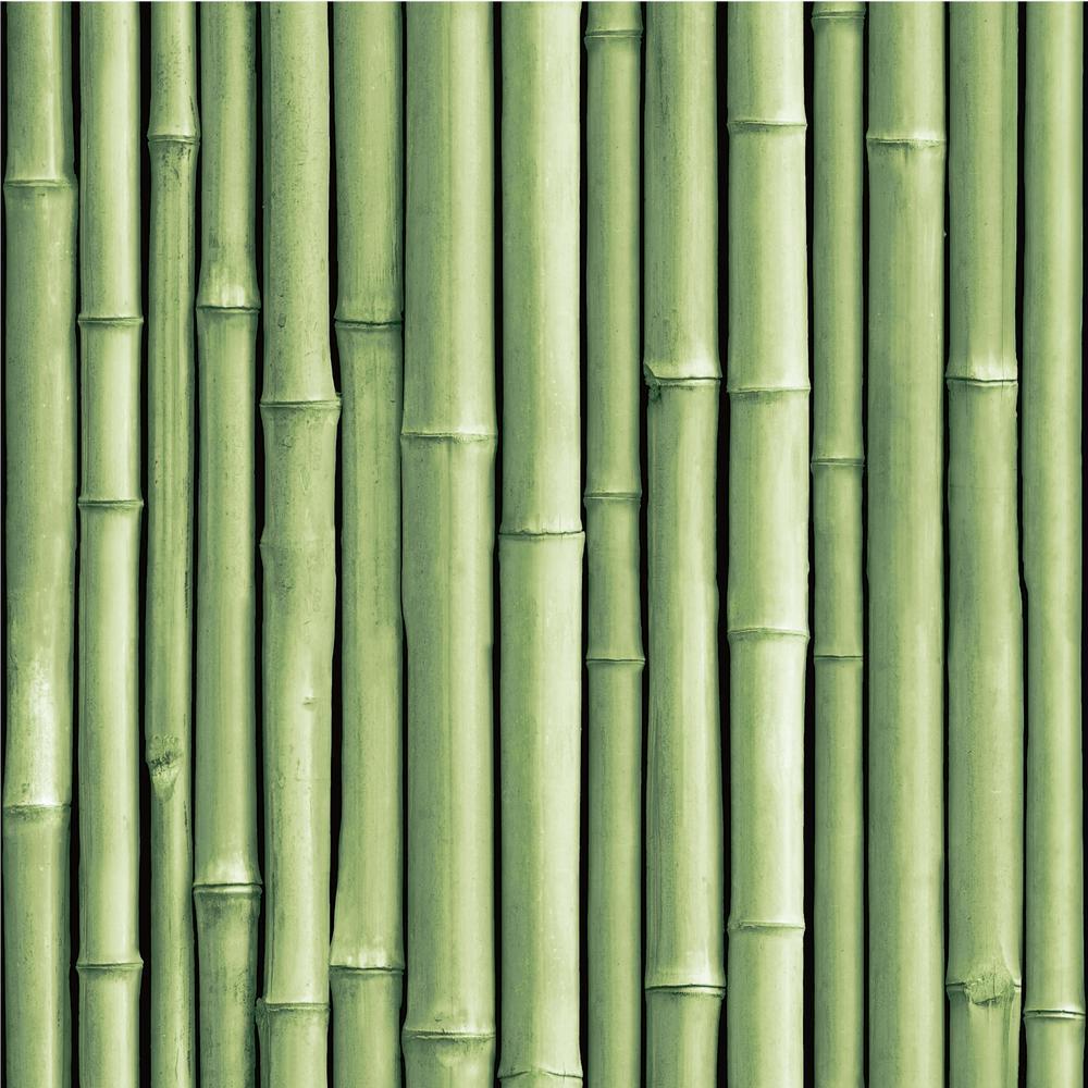 Bamboo Peel and Stick Wallpaper Peel and Stick Wallpaper RoomMates Roll Green 