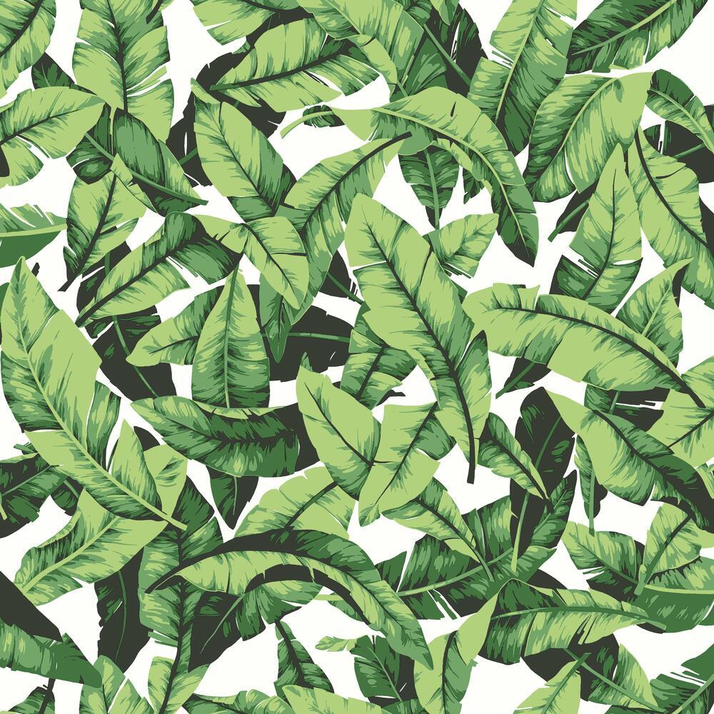Palm Peel and Stick Wallpaper Peel and Stick Wallpaper RoomMates Roll Green 