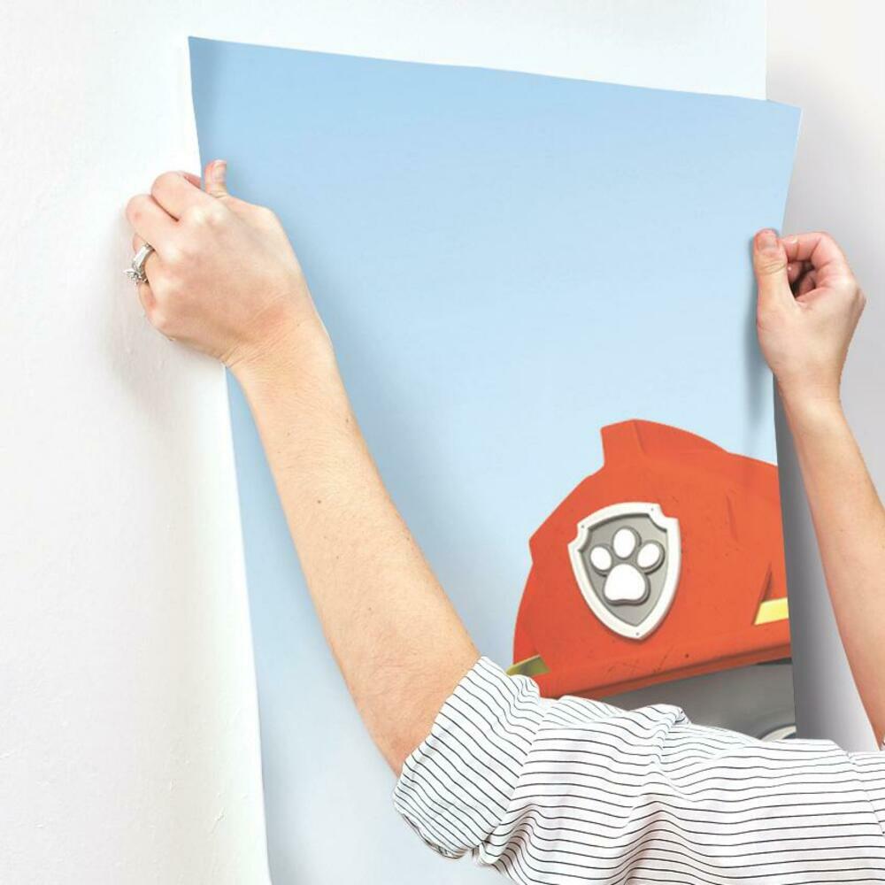 Paw Patrol Friends XL Spray and Stick Wallpaper Mural Wall Murals RoomMates   