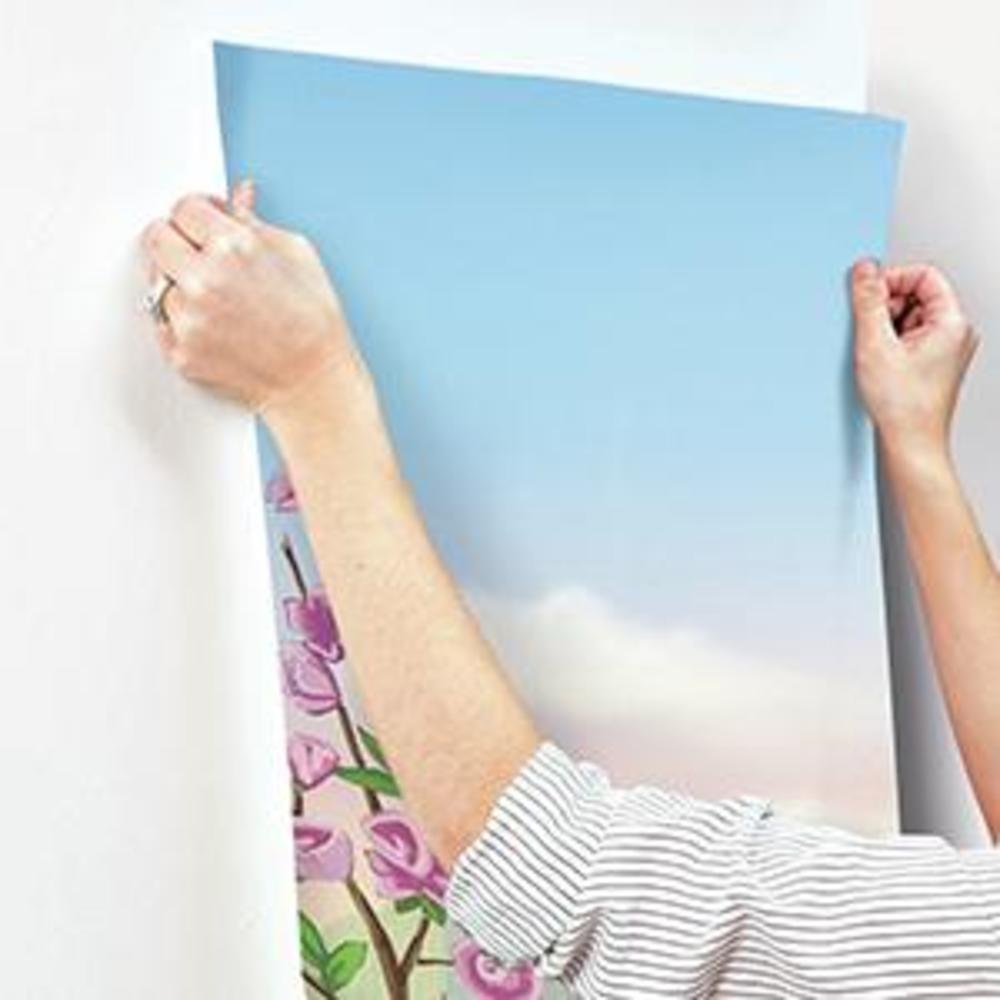 Disney Dancing Princess XL Spray and Stick Wallpaper Mural Wall Murals RoomMates   