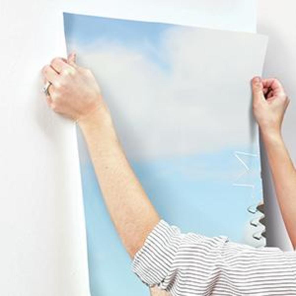 Disney Pixar Cars Friends to the Finish XL Spray and Stick Wallpaper Mural Wall Murals RoomMates   