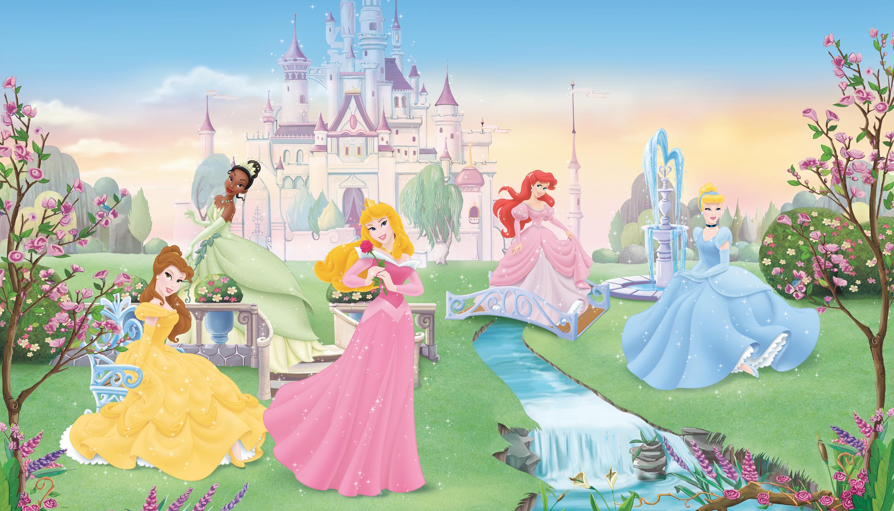 Disney Dancing Princess XL Spray and Stick Wallpaper Mural Wall Murals RoomMates Mural  