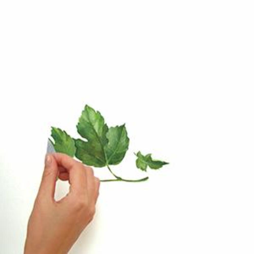 Evergreen Ivy Wall Decals Wall Decals RoomMates   