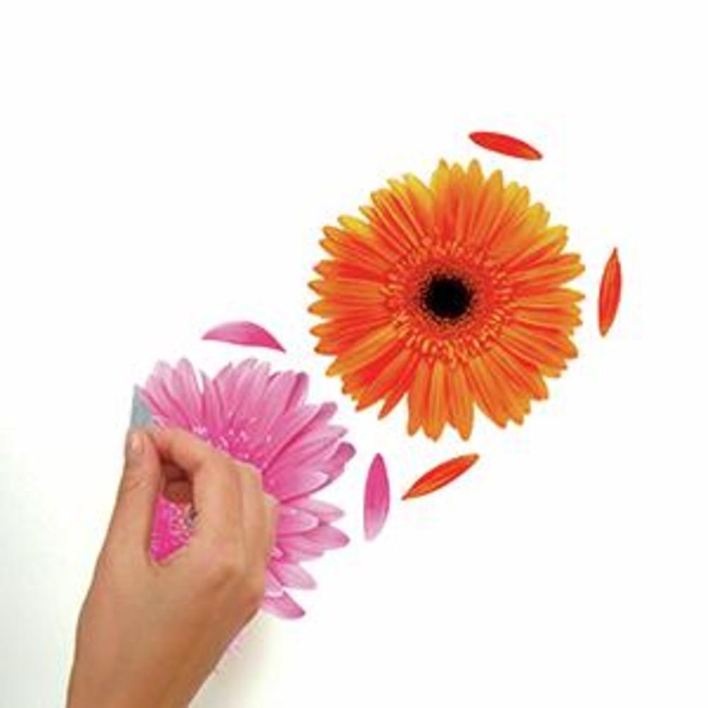 Gerber Daisies Wall Decals Wall Decals RoomMates   