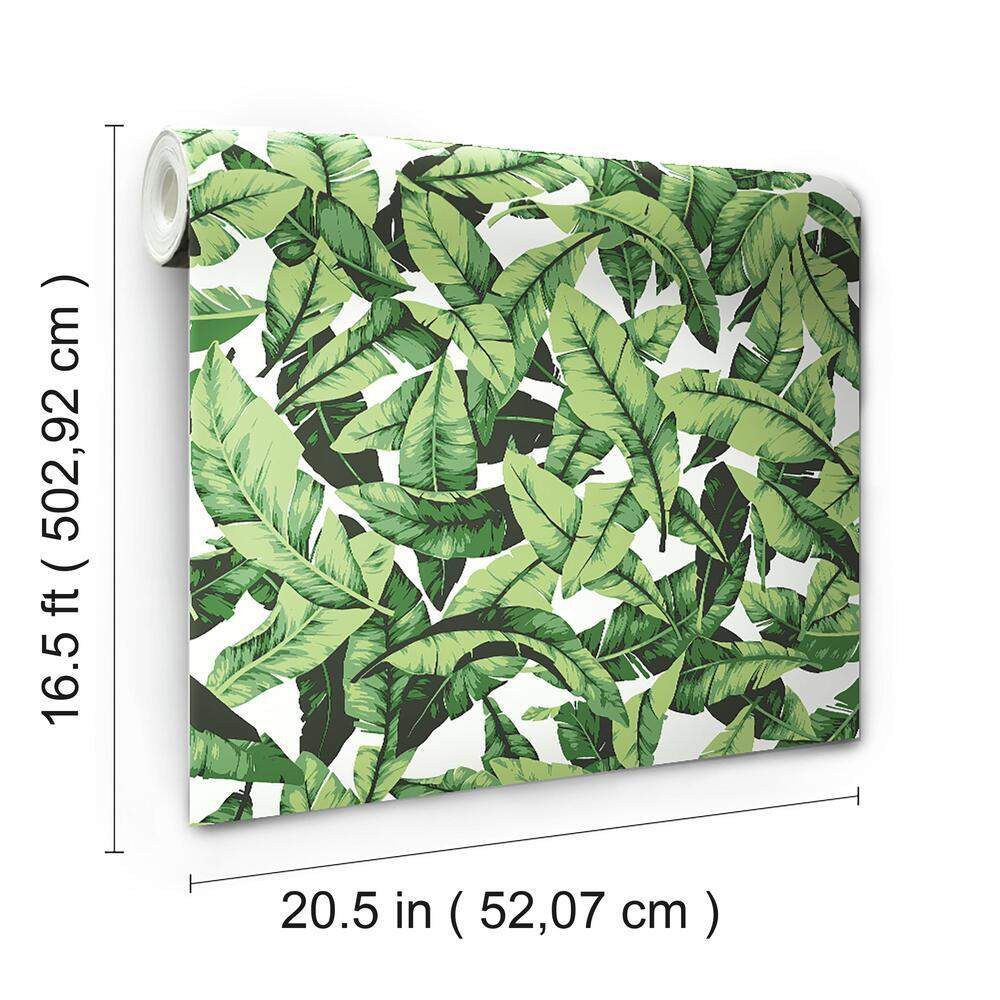 Palm Peel and Stick Wallpaper Peel and Stick Wallpaper RoomMates   