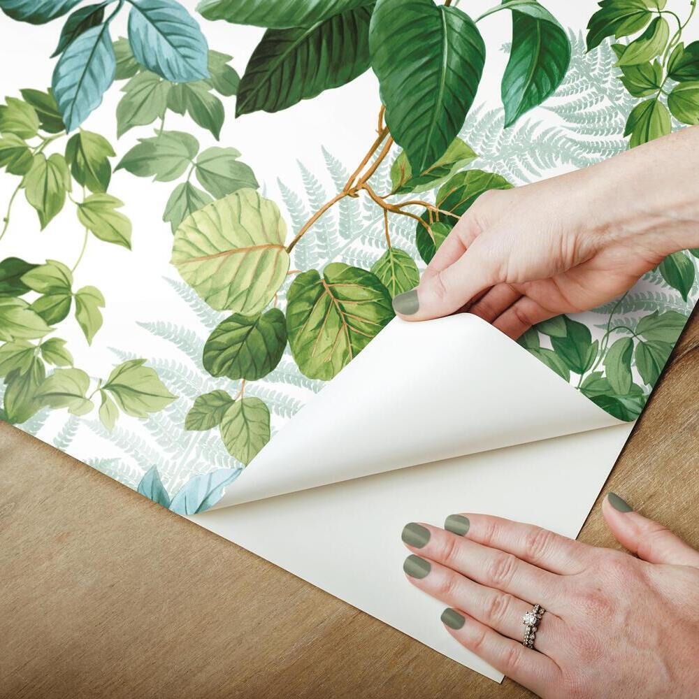 Rainforest Leaves Peel and Stick Wallpaper Peel and Stick Wallpaper RoomMates   
