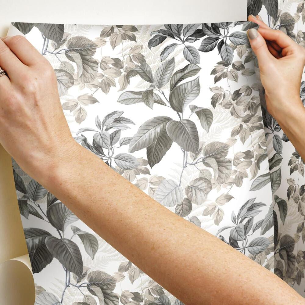 Rainforest Leaves Peel and Stick Wallpaper Peel and Stick Wallpaper RoomMates   