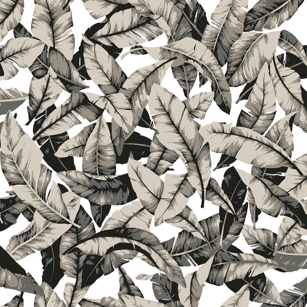Palm Peel and Stick Wallpaper Peel and Stick Wallpaper RoomMates
