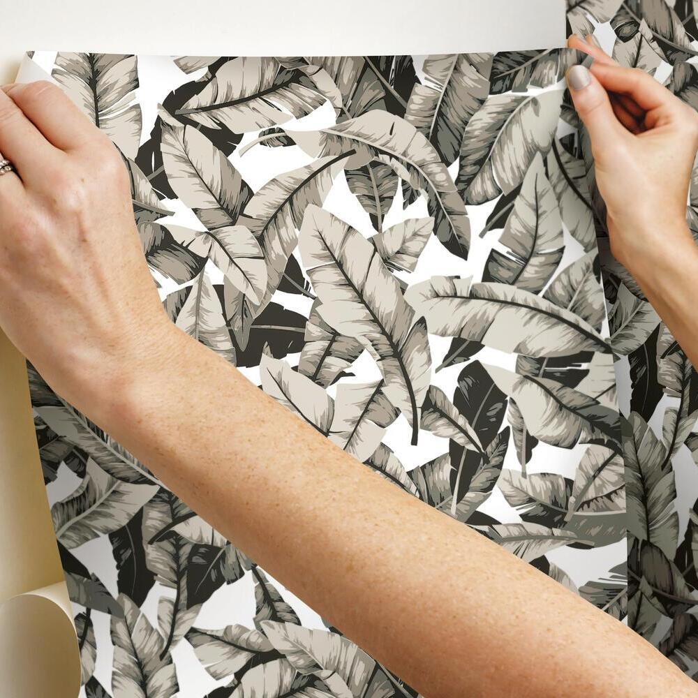Palm Peel and Stick Wallpaper Peel and Stick Wallpaper RoomMates   
