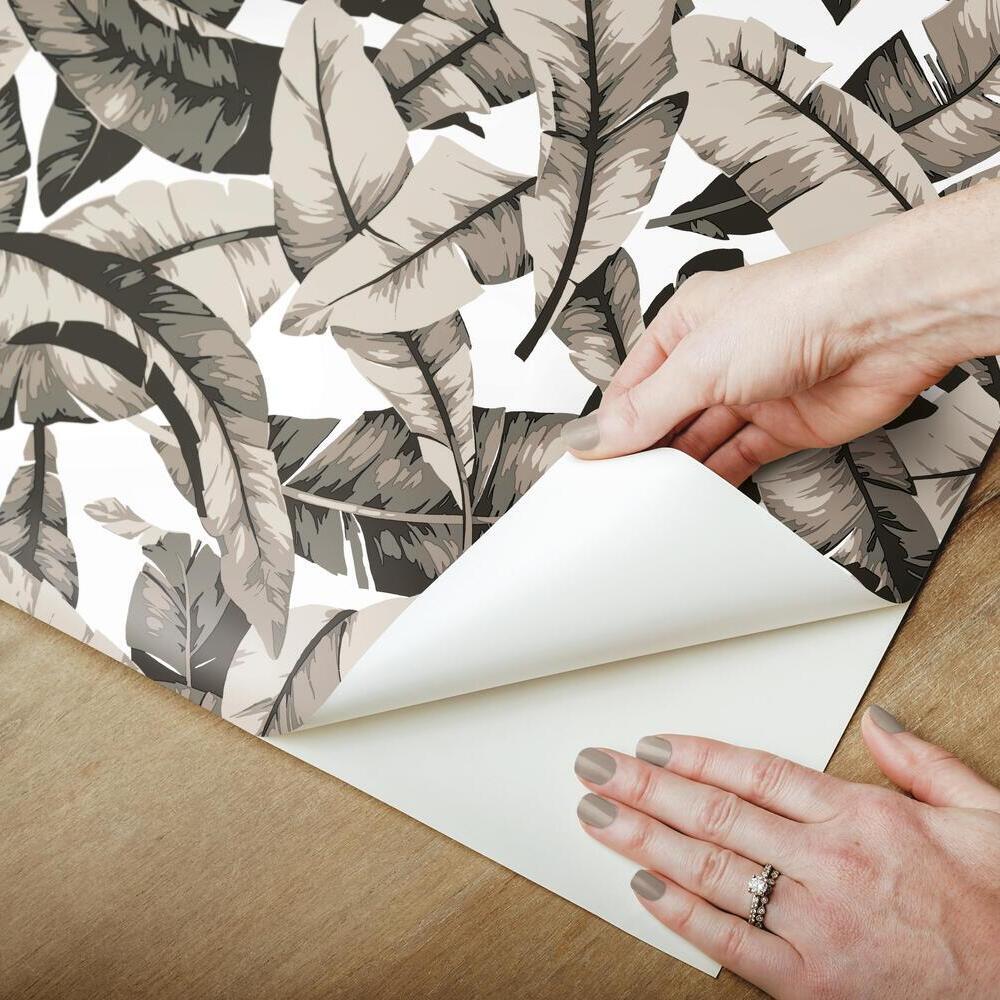 Palm Peel and Stick Wallpaper Peel and Stick Wallpaper RoomMates   