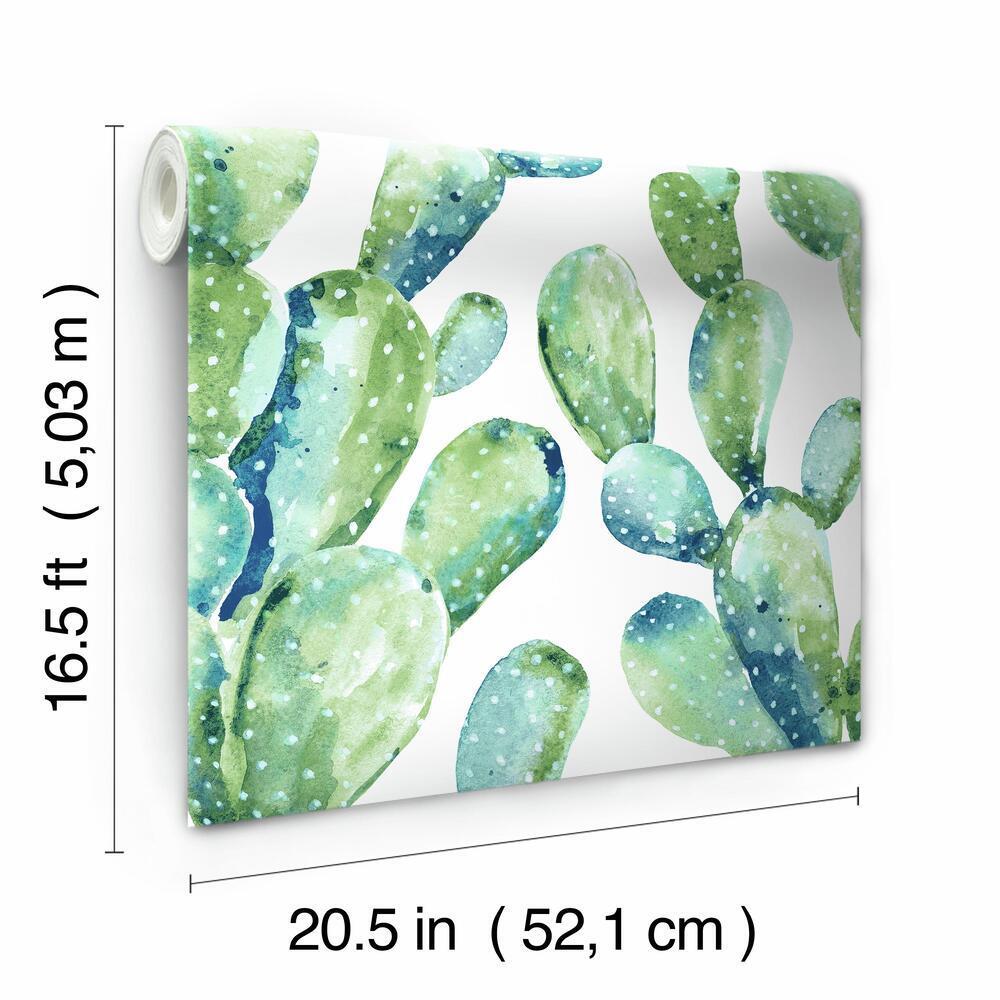 Prickly Pear Cactus Peel and Stick Wallpaper Peel and Stick Wallpaper RoomMates   