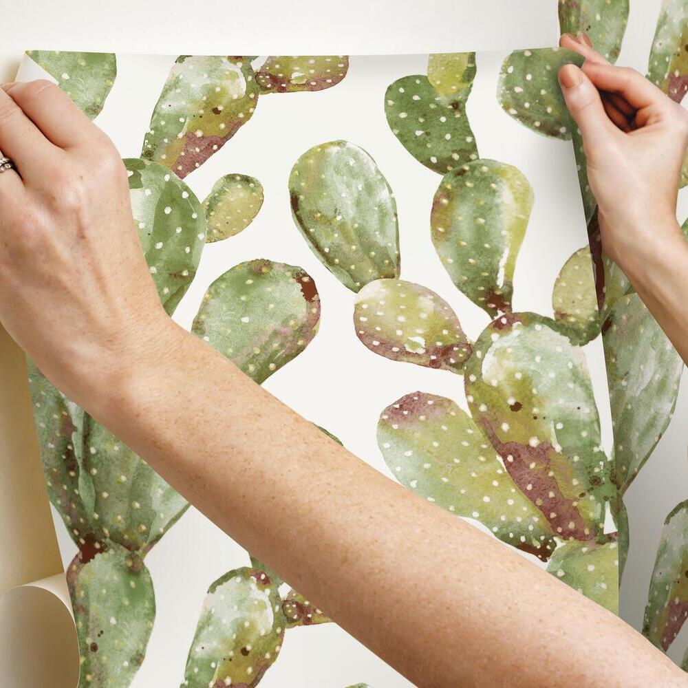 Prickly Pear Cactus Peel and Stick Wallpaper Peel and Stick Wallpaper RoomMates   