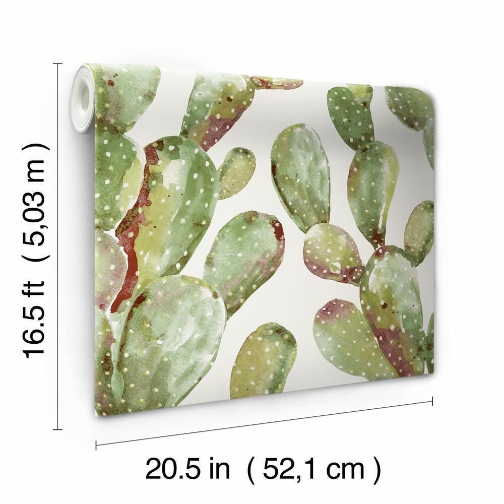 Prickly Pear Cactus Peel and Stick Wallpaper Peel and Stick Wallpaper RoomMates   