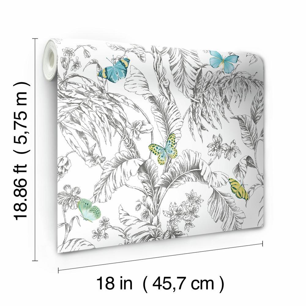 Butterfly Sketch Peel and Stick Wallpaper Peel and Stick Wallpaper RoomMates   