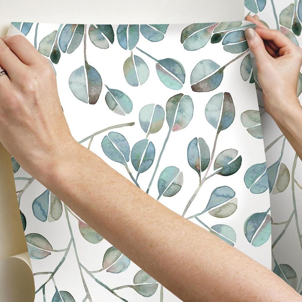 Cat Coquillette Eucalyptus Peel and Stick Wallpaper Peel and Stick Wallpaper RoomMates   