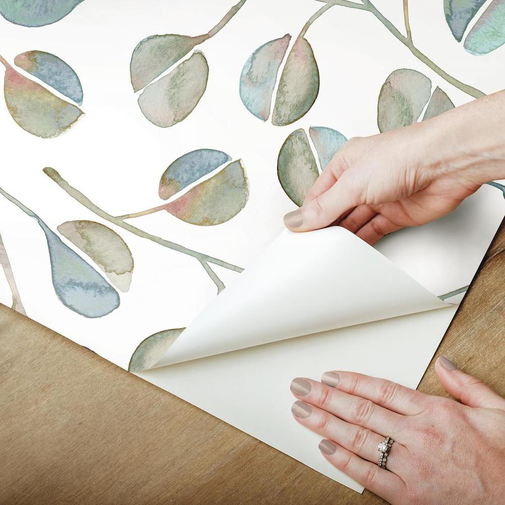 Cat Coquillette Eucalyptus Peel and Stick Wallpaper Peel and Stick Wallpaper RoomMates   