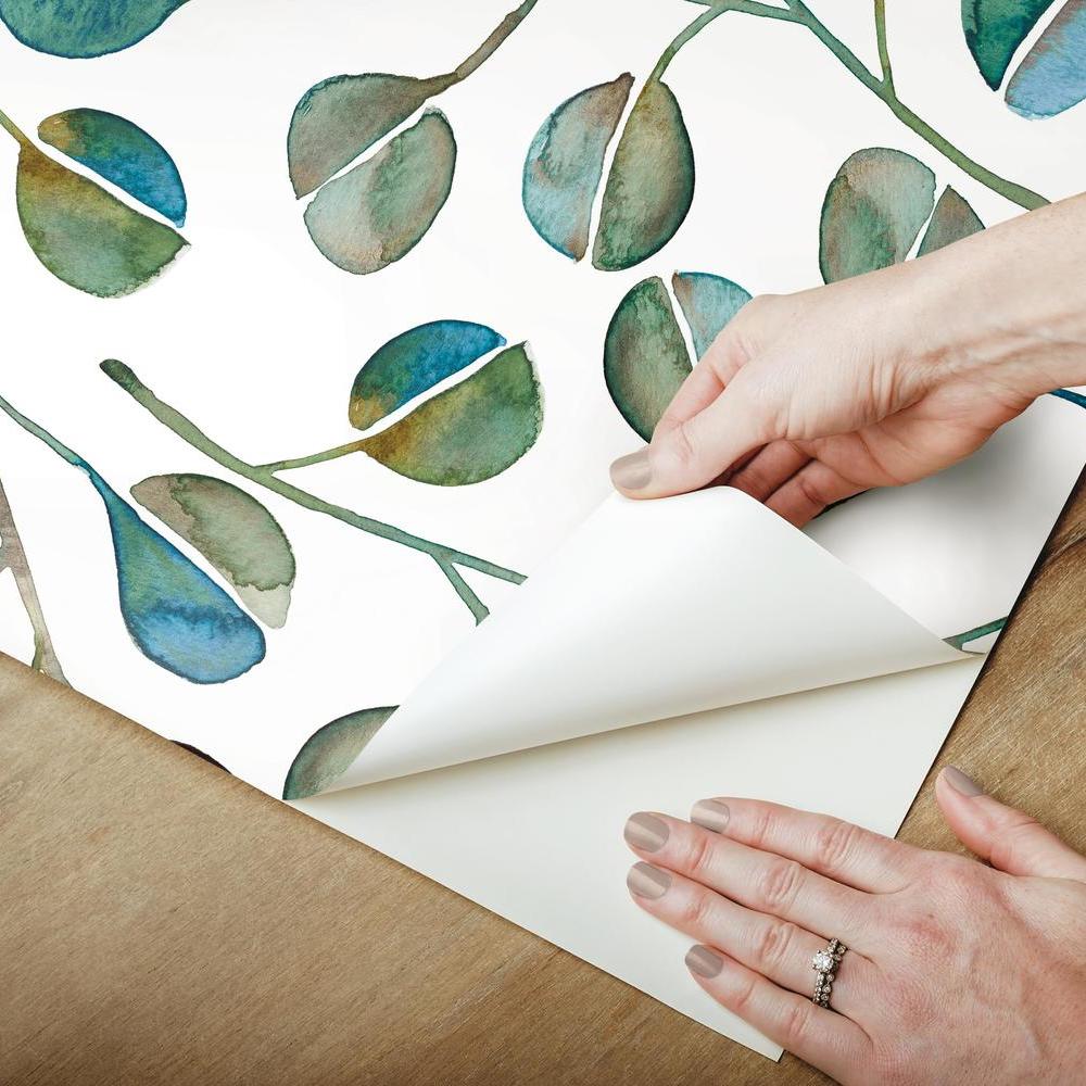 Cat Coquillette Eucalyptus Peel and Stick Wallpaper Peel and Stick Wallpaper RoomMates   